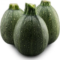 Courgette ronde (kg)